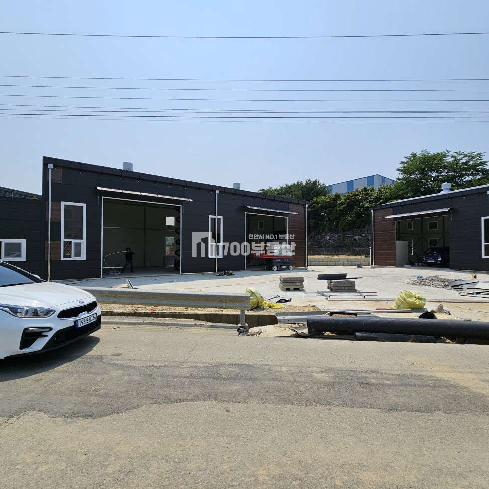 충남 아산시 신창면 궁화리 아산시 신창면 궁화리 신축창고 월세임대 아산창고임대 60평씩 2개동 월세 매물번호 10997 사진 10
