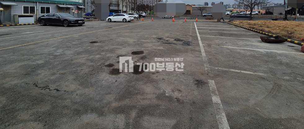 충남 천안동남구 신방동 천안 신방동 단독 독채 1층상가 마당넓은 독채상가 상가월세 월세 매물번호 11364 사진 5